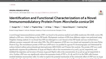 Frontiersin Immunology〡生物所发现可高效抑制肿瘤细胞增殖和迁移的新型羊肚菌免疫调节蛋白