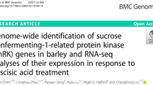 大麦SnRK家族基因鉴定及其对ABA的响应研究