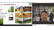生物所举办“高层次柔性专家云论坛”系列讲座——第三期迎来中国农科院作科所郭刚刚研究员