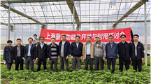 生物所召开上海藜麦功能化开发与利用研讨会