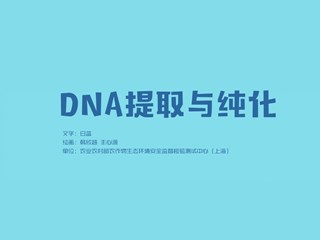 DNA的提取与纯化