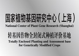 国家基因研究中心（上海）转基因作物全封闭式种植评价基地