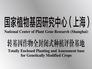 国家基因研究中心（上海）转基因作物全封闭式种植评价基地