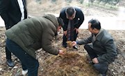 院党委书记、院长蔡友铭调研上海市食用菌产业体系崇明建设镇综合试验站