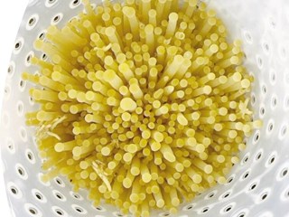 浅黄色金针菇品种‘上研1820’