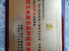 申科甜2号荣获2017中国鲜食玉米大会甜玉米展示品种优秀奖