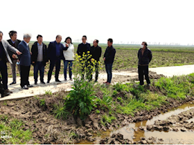 上海市水稻产业体系专家组赴崇明区对接春耕生产