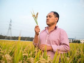 程灿  研究员  杂优水稻育种与栽培