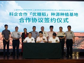 我院作物所与上海新成食品有限公司　联合举办“优糖稻”科研成果转化新闻发布会