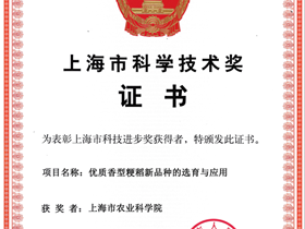 上海市科学技术奖----优质香型粳稻新品种的选育与应用