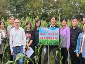 作物所科技人员为上海市种子检验员进行玉米品种纯度鉴定培训
