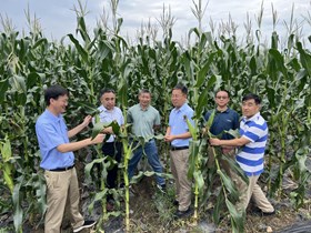 国家玉米产业技术体系岗位专家组来我院作物所玉米中心开展调研指导工作