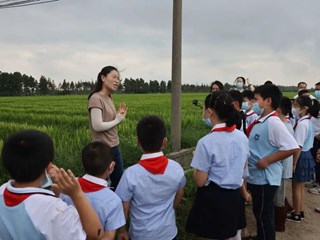 奉贤区青少年“现代农业”科普实践系列活动 ——“杂交水稻是怎样炼成的”