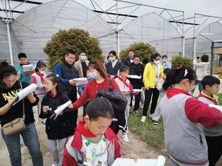 【活动】新科学 巧育种——庄行学校组织开展玉米育种科普教育活动
