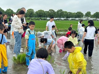 快乐有“稻”----解放路小学一 （3)班 亲子俱乐部“趣插秧”活动