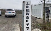 信息所科技人员赴崇明白山羊基地调研