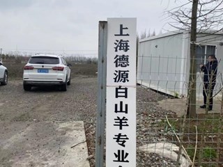 信息所科技人员赴崇明白山羊基地调研