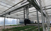 温室吊轨型高通量植物表型平台