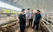 农科院科技人员赴农科院乡村振兴示范基地开展调研与技术服务