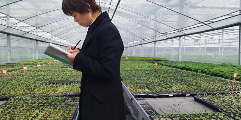 园艺所科技人员赴金山蔬菜育苗基地开展茄果类育苗技术指导