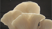 Mushroom Biotechnology - Developments and Applications.Petre M. (2015) 