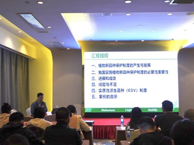 上海分中心为2023年度种业监督执法专题培训班授课