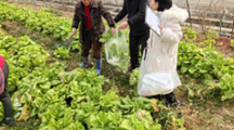 科立特检测公司在赣皖两省开展2025年第一次农产品质量安全例行监测抽检工作