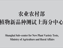 农业农村部植物新品种测试上海分中心